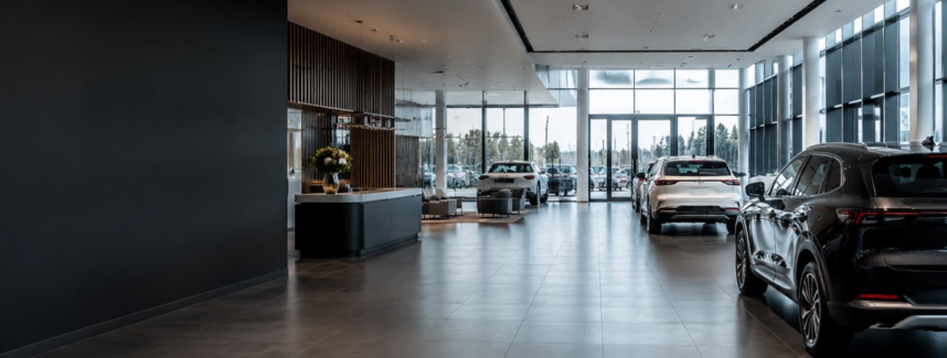 Salle d'exposition automobile, véhicules alignés devant une façade vitrée